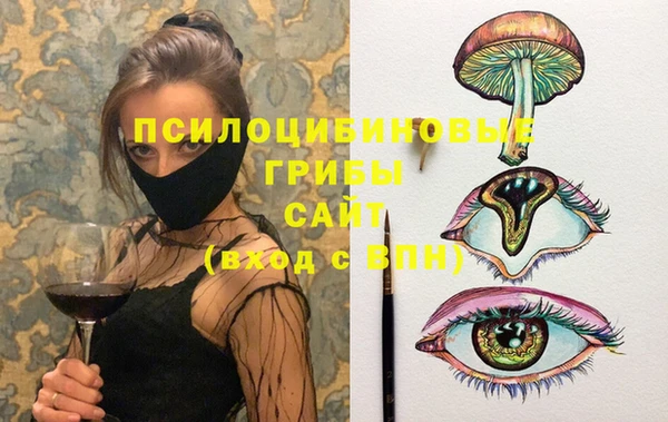 стафф Алексин