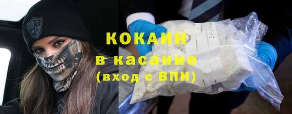 прущие грибы Абинск